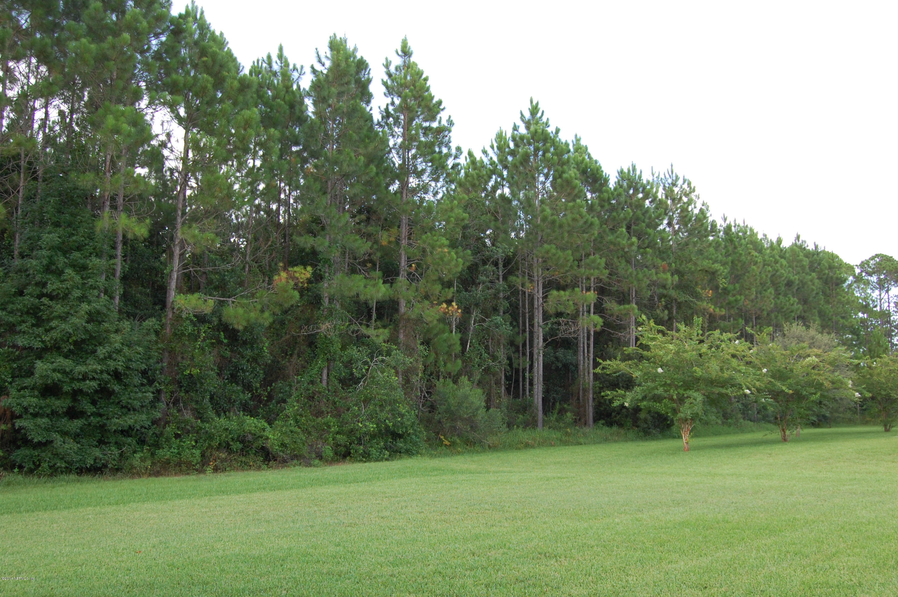 404 Spring Ridge Court St. Augustine, FL 32092 - Photo 30 of 31 a view of a green field with trees in the background