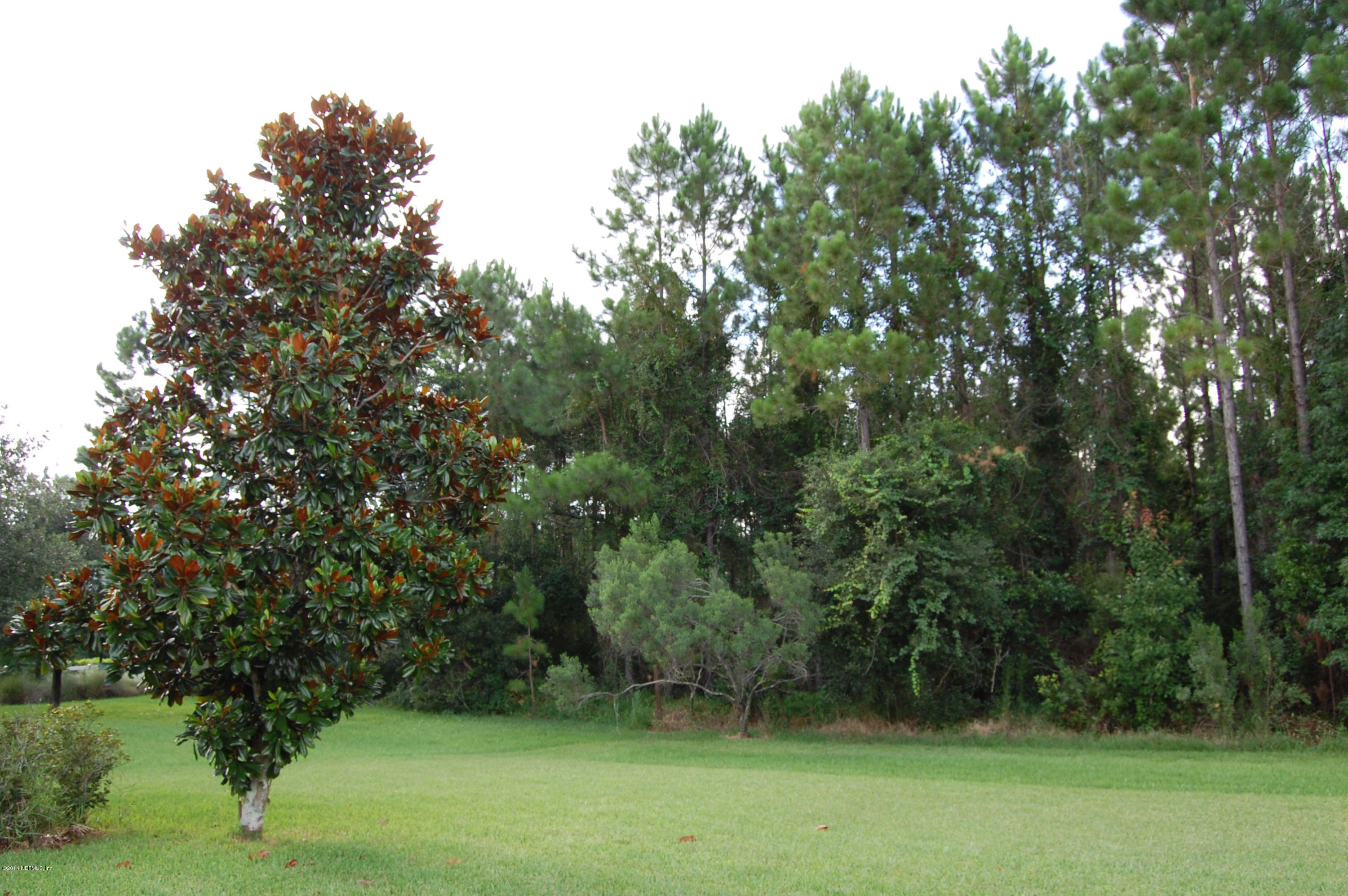 404 Spring Ridge Court St. Augustine, FL 32092 - Photo 31 of 31 a view of outdoor space and yard