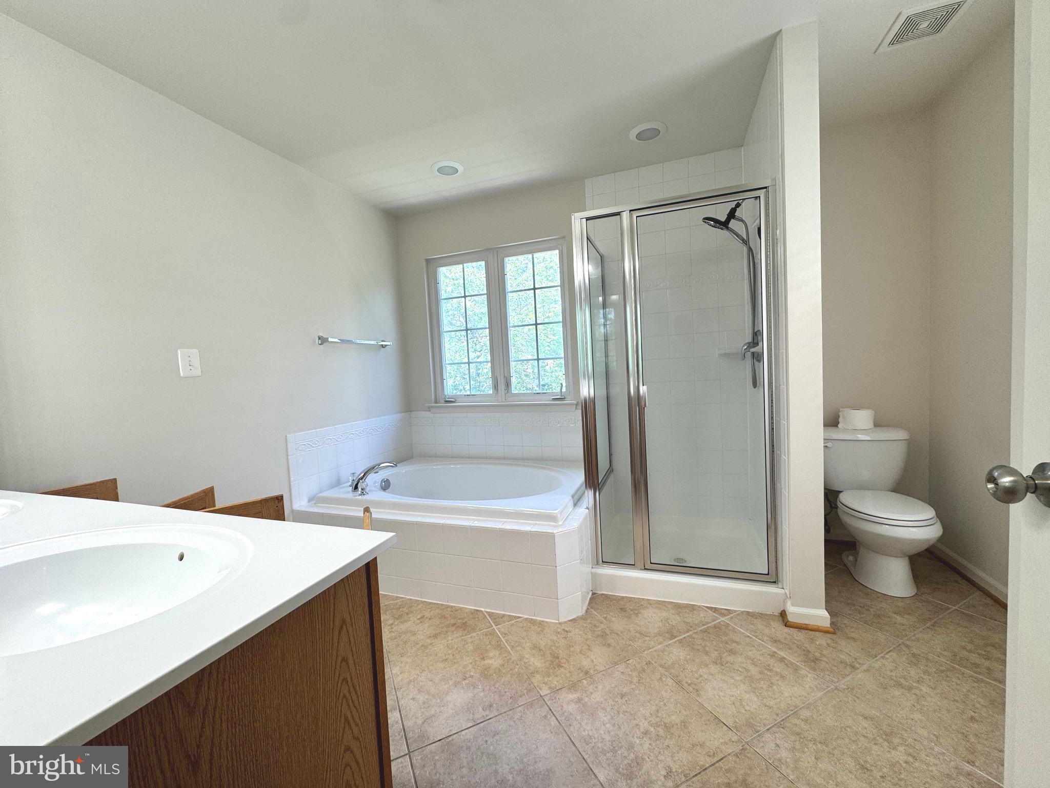 309 Monroe Point Drive Colonial Beach, VA 22443 - Photo 32 of 52 a bathroom with a granite countertop sink toilet and shower
