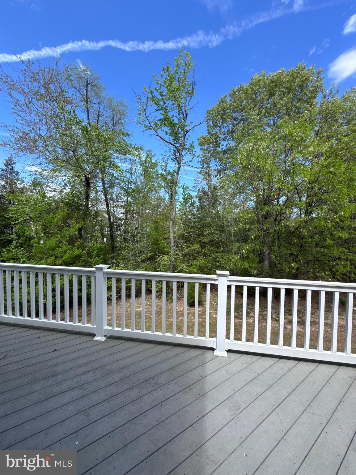 309 Monroe Point Drive Colonial Beach, VA 22443 - Photo 44 of 52 a view of wooden deck and a yard
