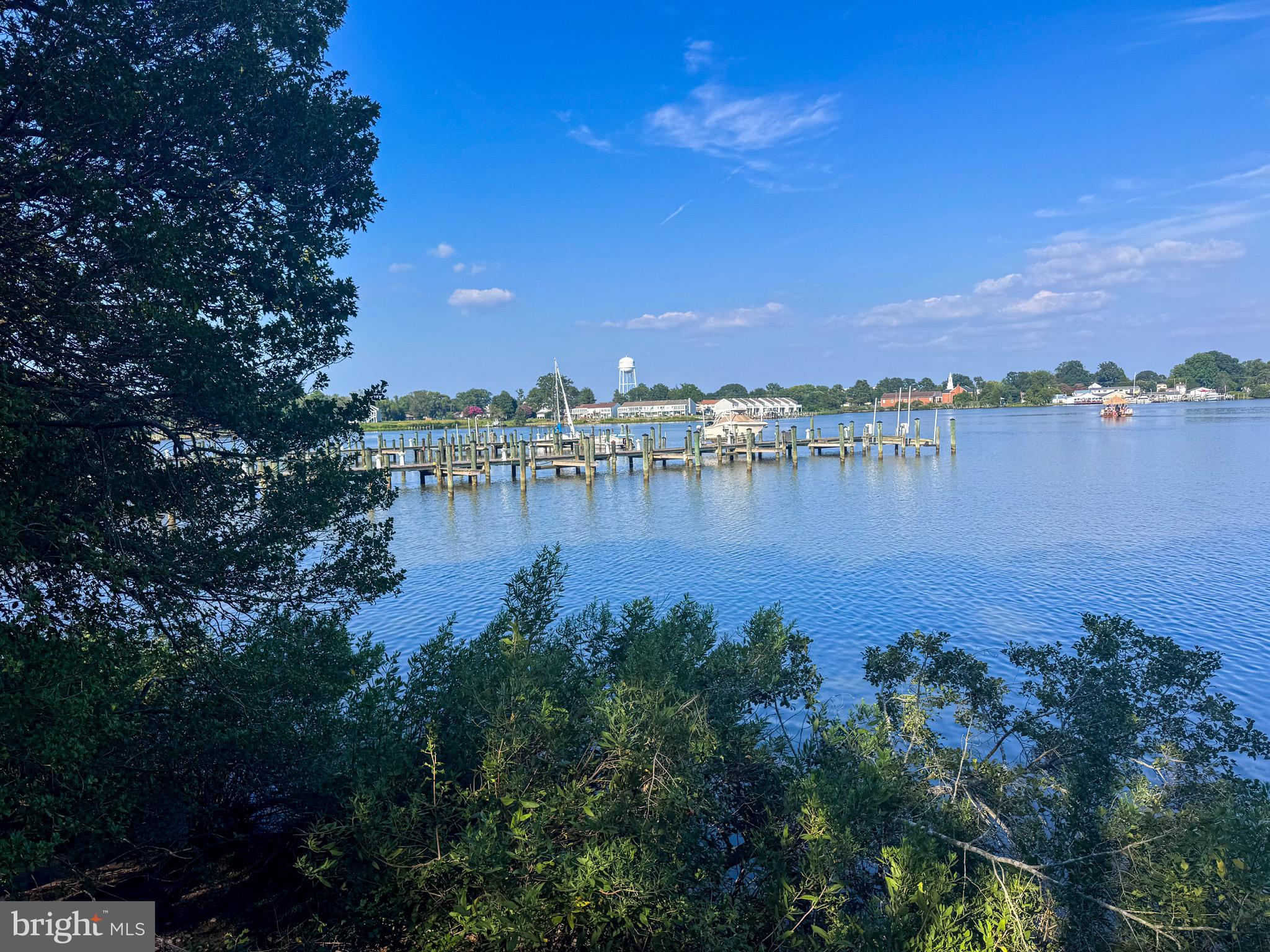 309 Monroe Point Drive Colonial Beach, VA 22443 - Photo 47 of 52 a view of a lake with houses in the back
