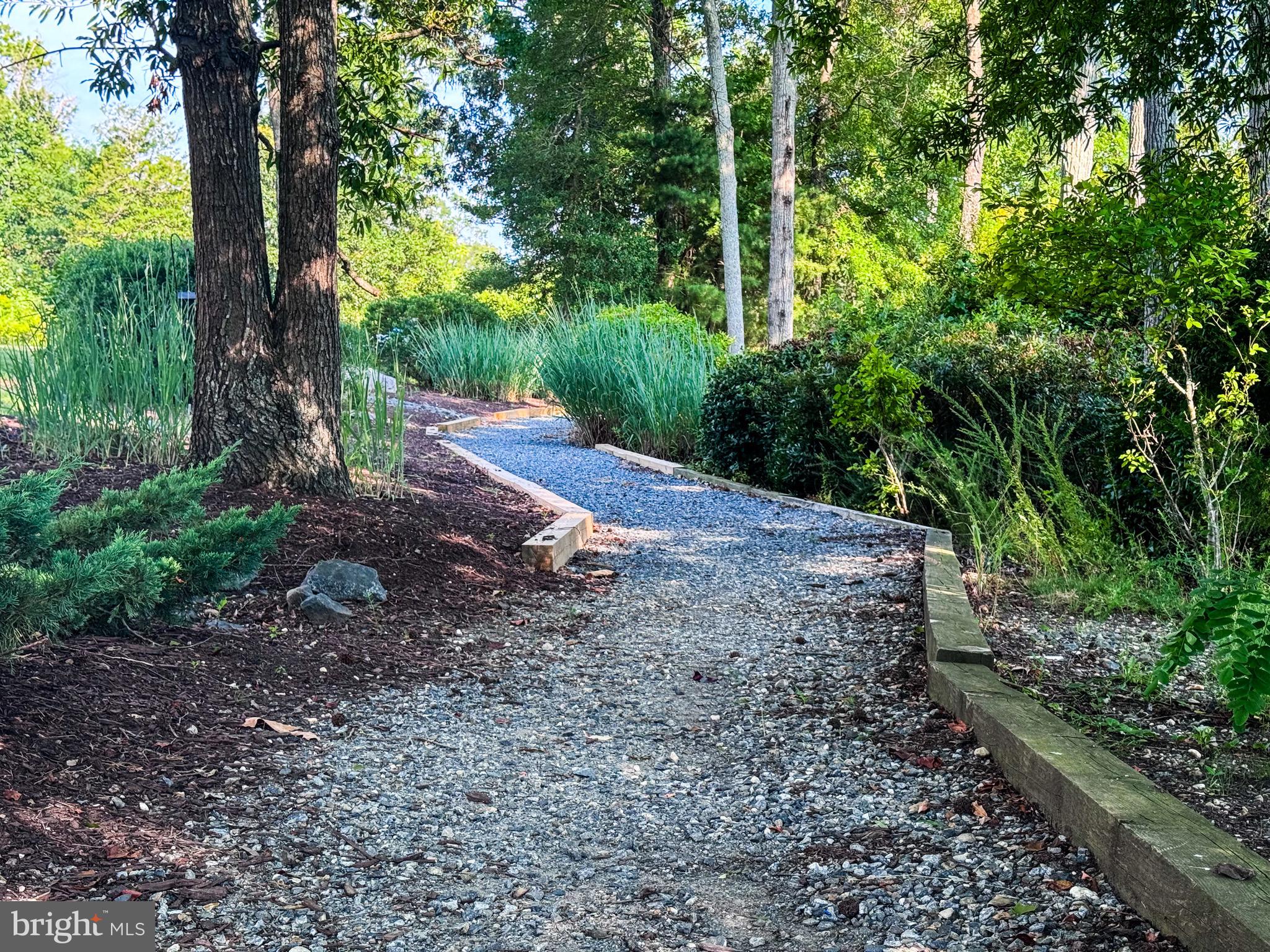 309 Monroe Point Drive Colonial Beach, VA 22443 - Photo 51 of 52 a view of a yard with plants and a large trees