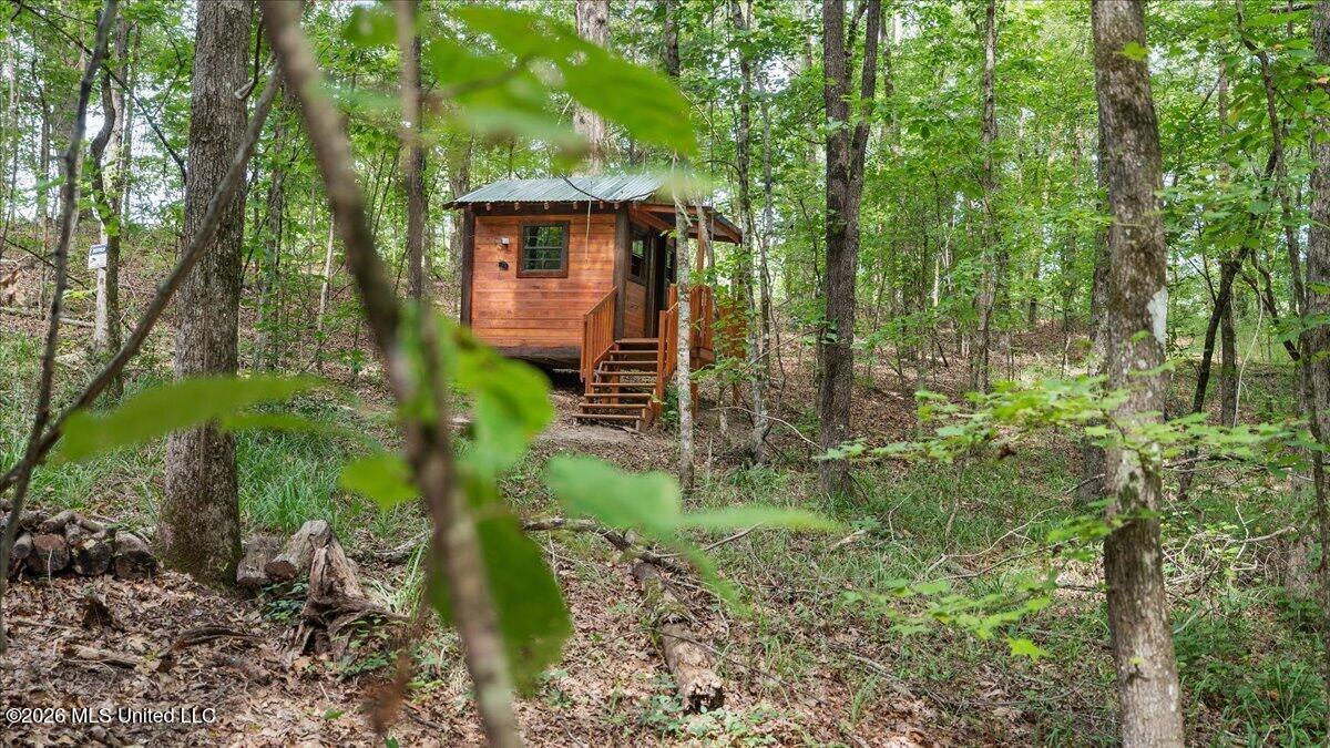 664 Mt Zion Road, Unit 664 Camden, MS 39045 - Photo 29 of 45 30-IMG_3682