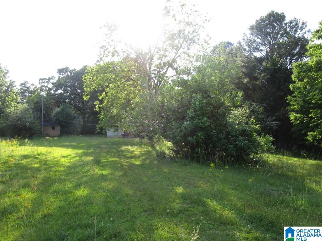 4956 Kings Mill Road Oakman, AL 35579 - Photo 19 of 27
