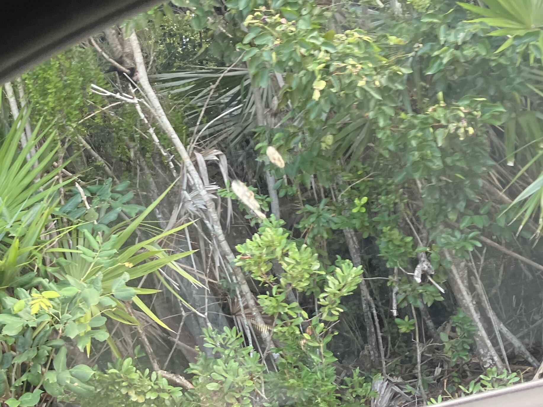 O Indies Road Summerland Key, FL 33042 - Photo 2 of 3 IMG_6506