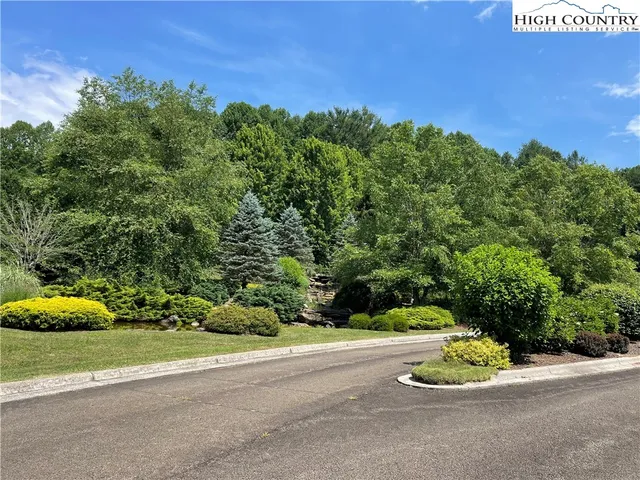 a view of a house with a yard and a large tree