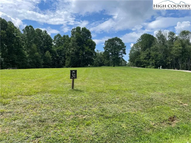 a view of field with tall trees