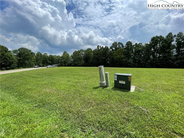 a view of a big yard with plants and large trees