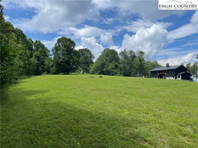 a view of a big yard with plants and large trees