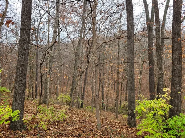 $295,000 | 19650 North Pisque Lane, Woodlawn, IL 62898