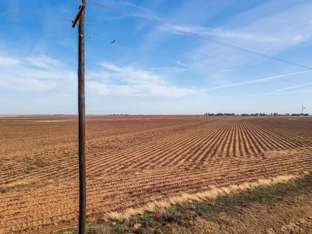 a view of an ocean beach