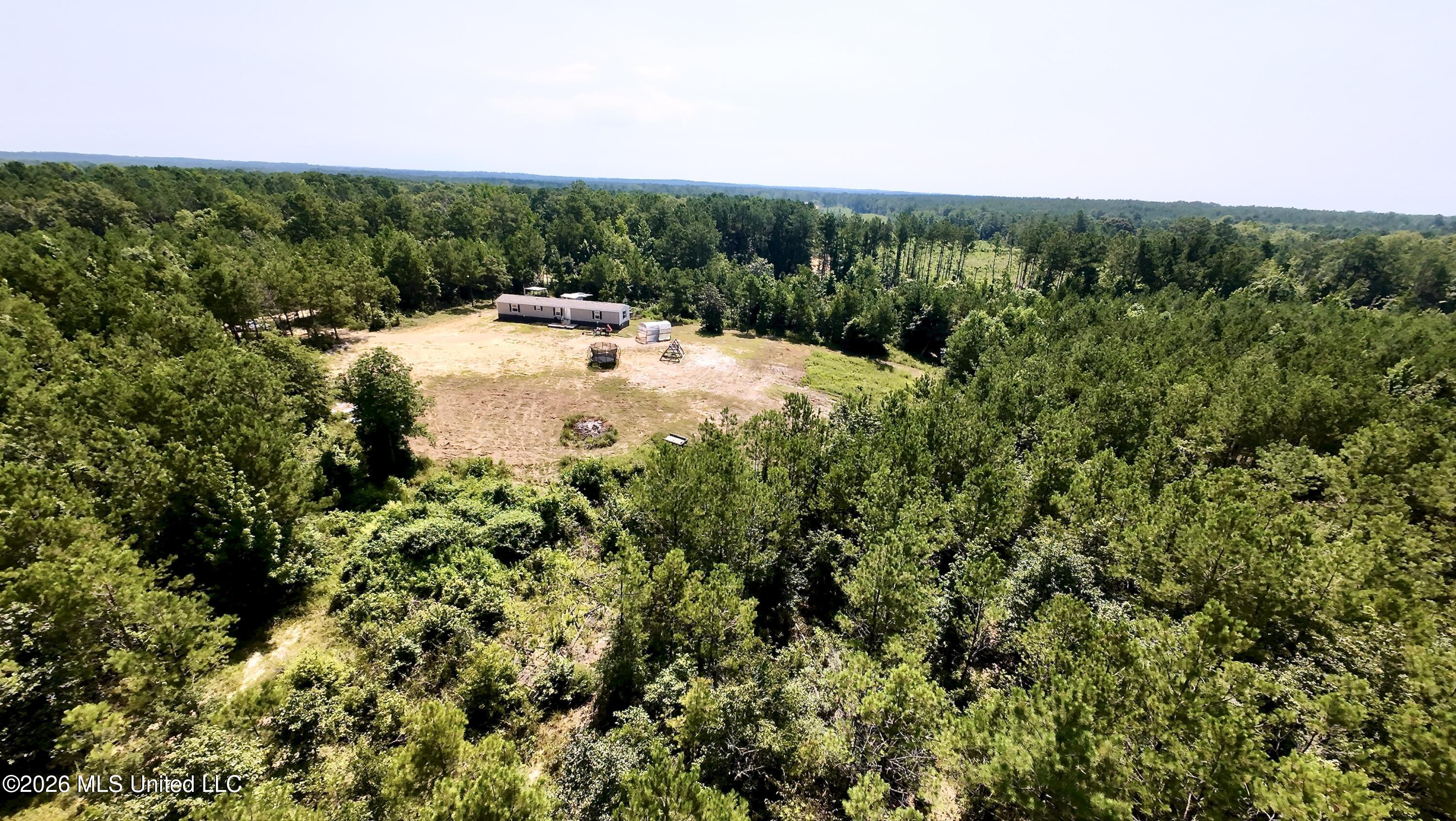 115 Tom Calhoun Road Mendenhall, MS 39114 - Photo 5 of 29 DJI_20260703105759_0292_D