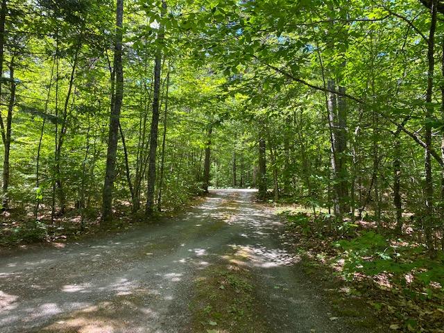 79 Wilson Pond Road Greenville, ME 04441 - Photo 12 of 40 IMG_0027