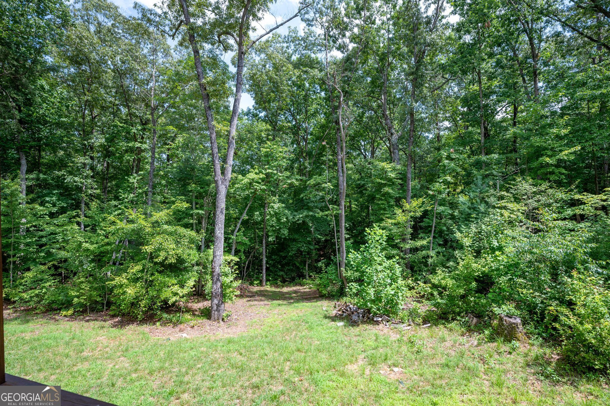 146 Hackney Trail Ellijay, GA 30536 - Photo 12 of 24 a view of forest