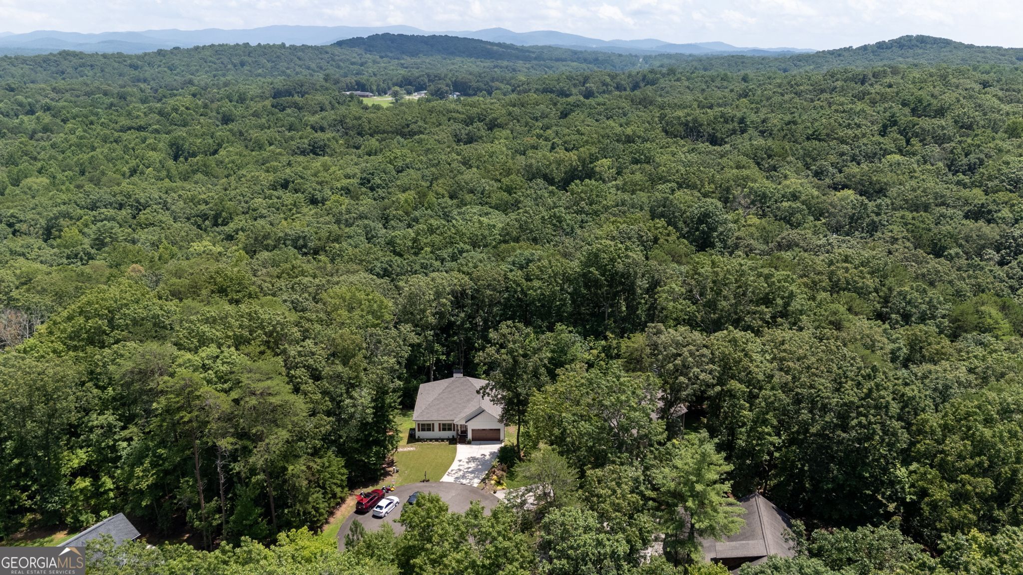 146 Hackney Trail Ellijay, GA 30536 - Photo 24 of 24 a view of a forest with a street