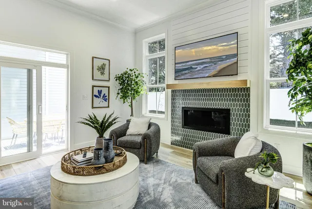 a living room with furniture and a potted plant