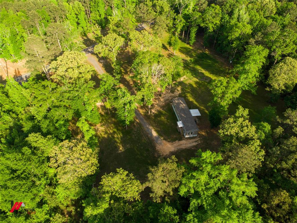 2470 Highway 792 Heflin, LA 71039 - Photo 6 of 25 a view of a tree in a garden