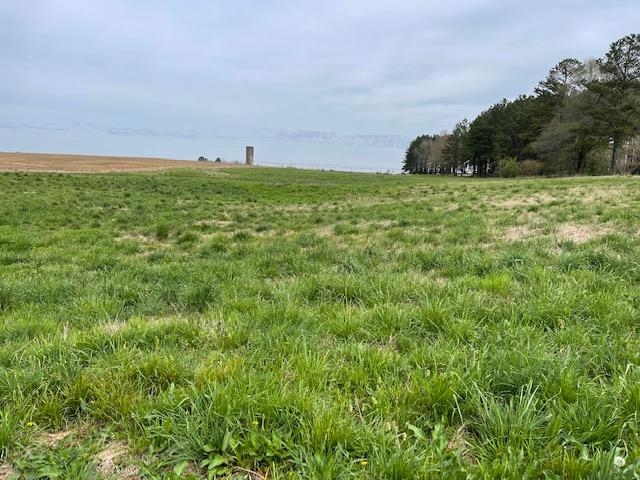240 Johns Road Toone, TN 38381 - Photo 20 of 22 a view of a field with an ocean