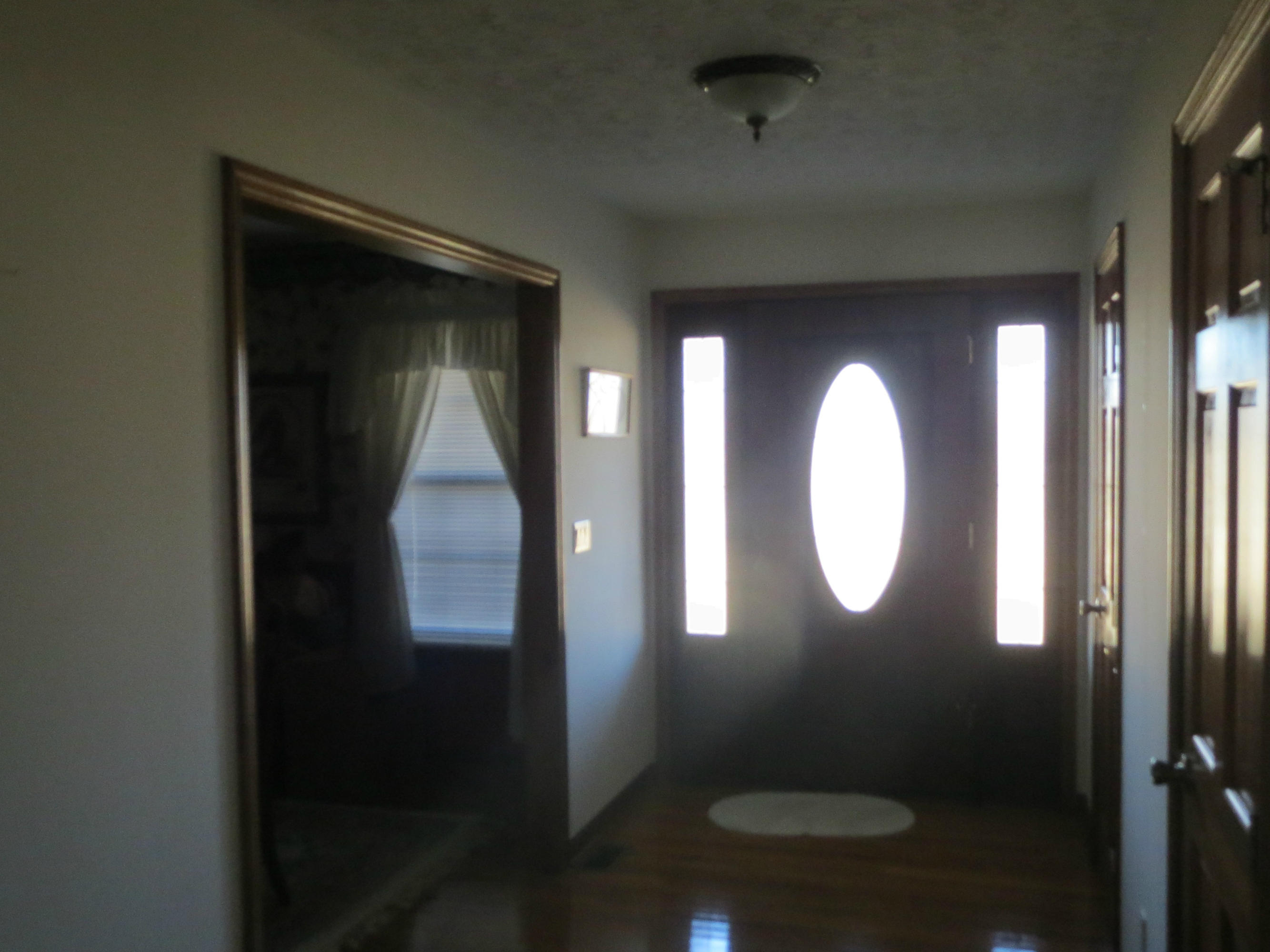 3140 Rugby Pike Jamestown, TN 38556 - Photo 7 of 14 Savage 010
