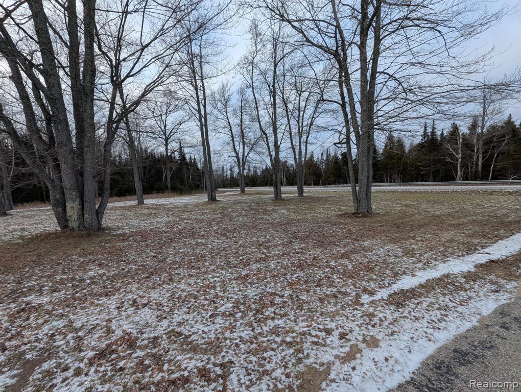 10470 Highway 23 Cheboygan, MI 49721 - Photo 36 of 37