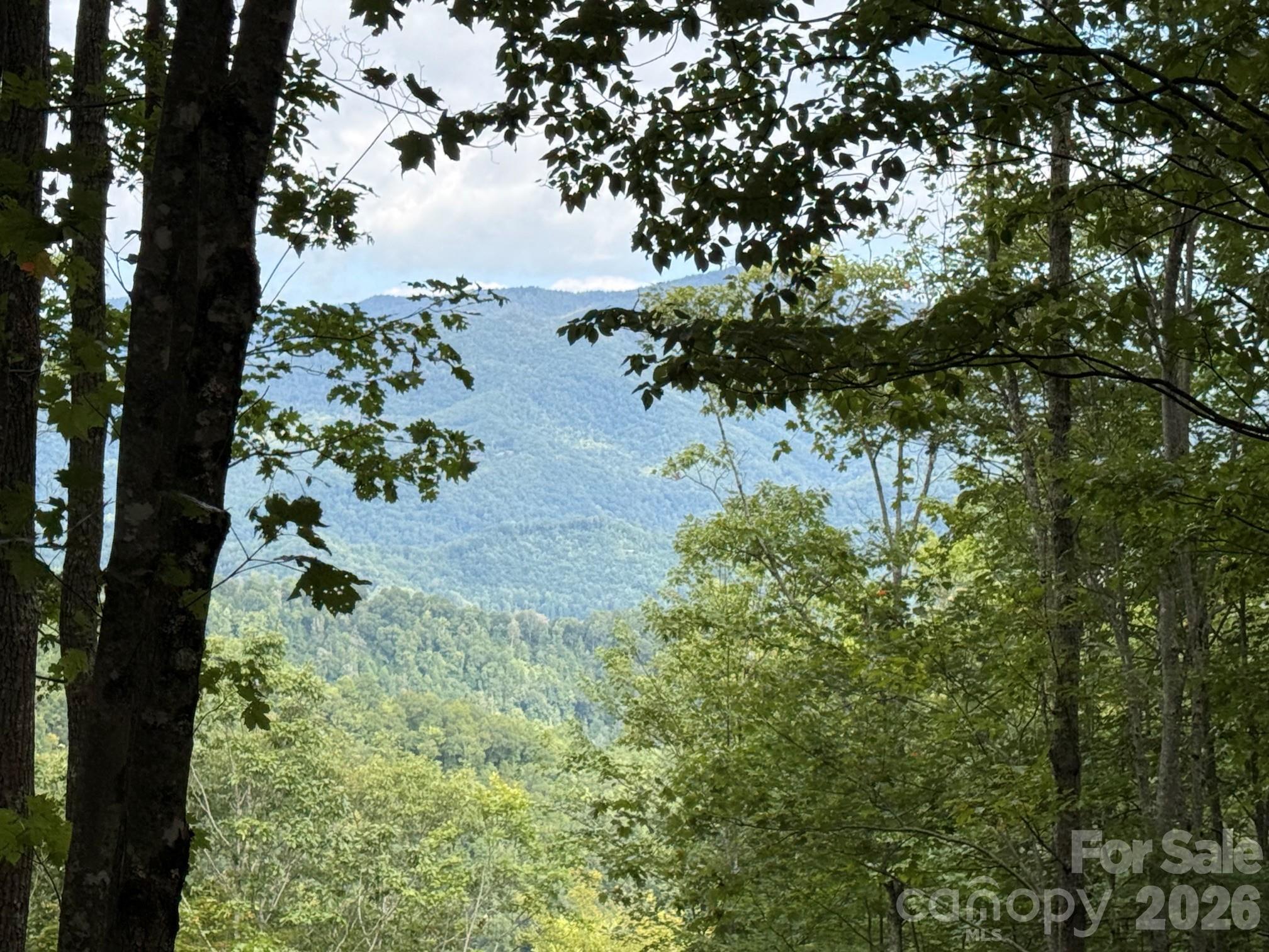 262 Tote Road, Unit 262 Sylva, NC 28779 - Photo 2 of 21
