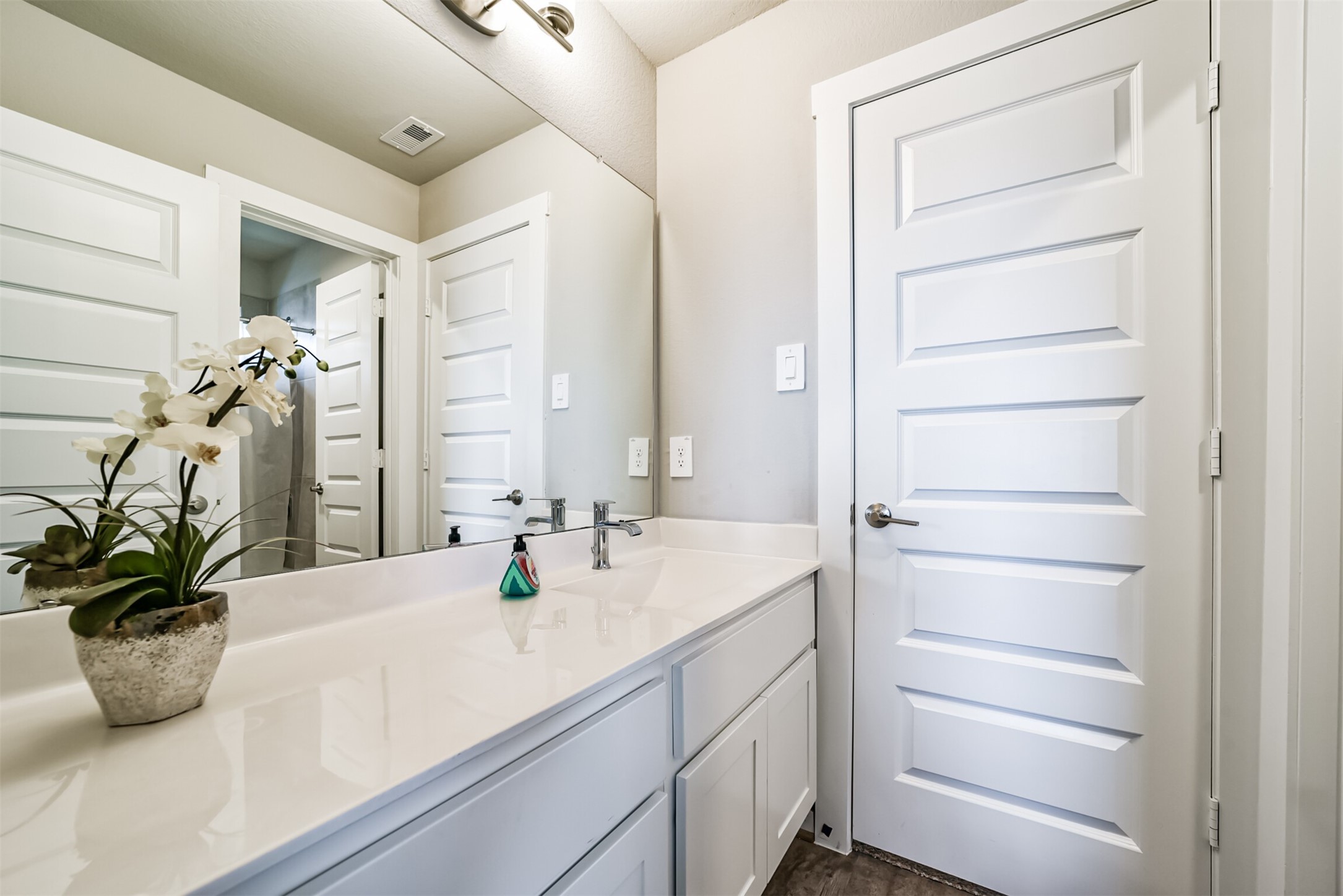 29510 Red Rocks Pk Drive Katy, TX 77494 - Photo 26 of 31 a bathroom with a double vanity sink a mirror and a potted plant