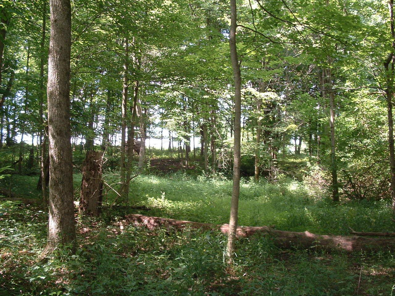 9311 Jug St Road Northwest Pataskala, OH 43062 - Photo 46 of 83 DSCF0028