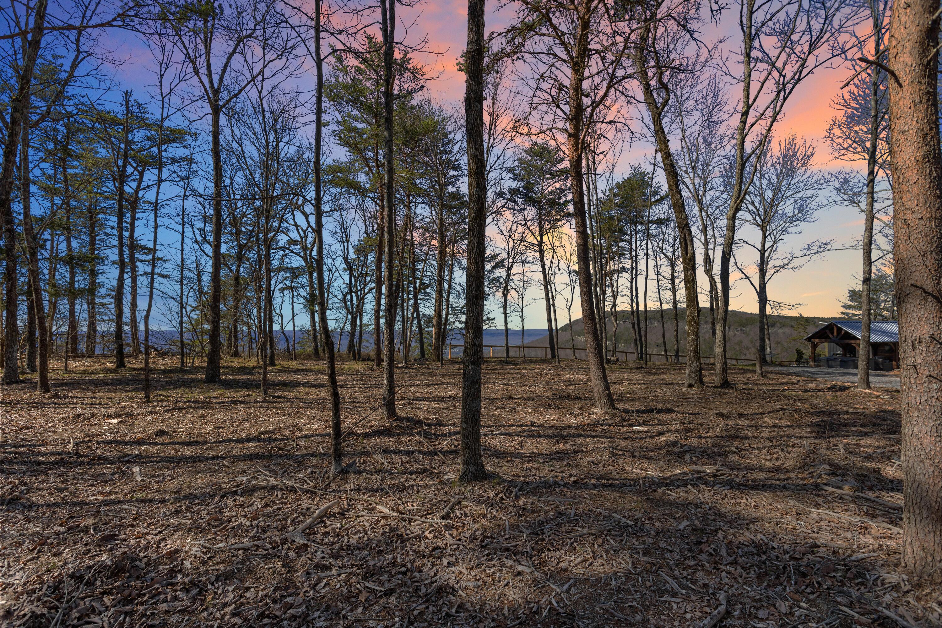 1004 Window Rock Road Dunlap, TN 37327 - Photo 38 of 48 1004 Window Rock Rd-36