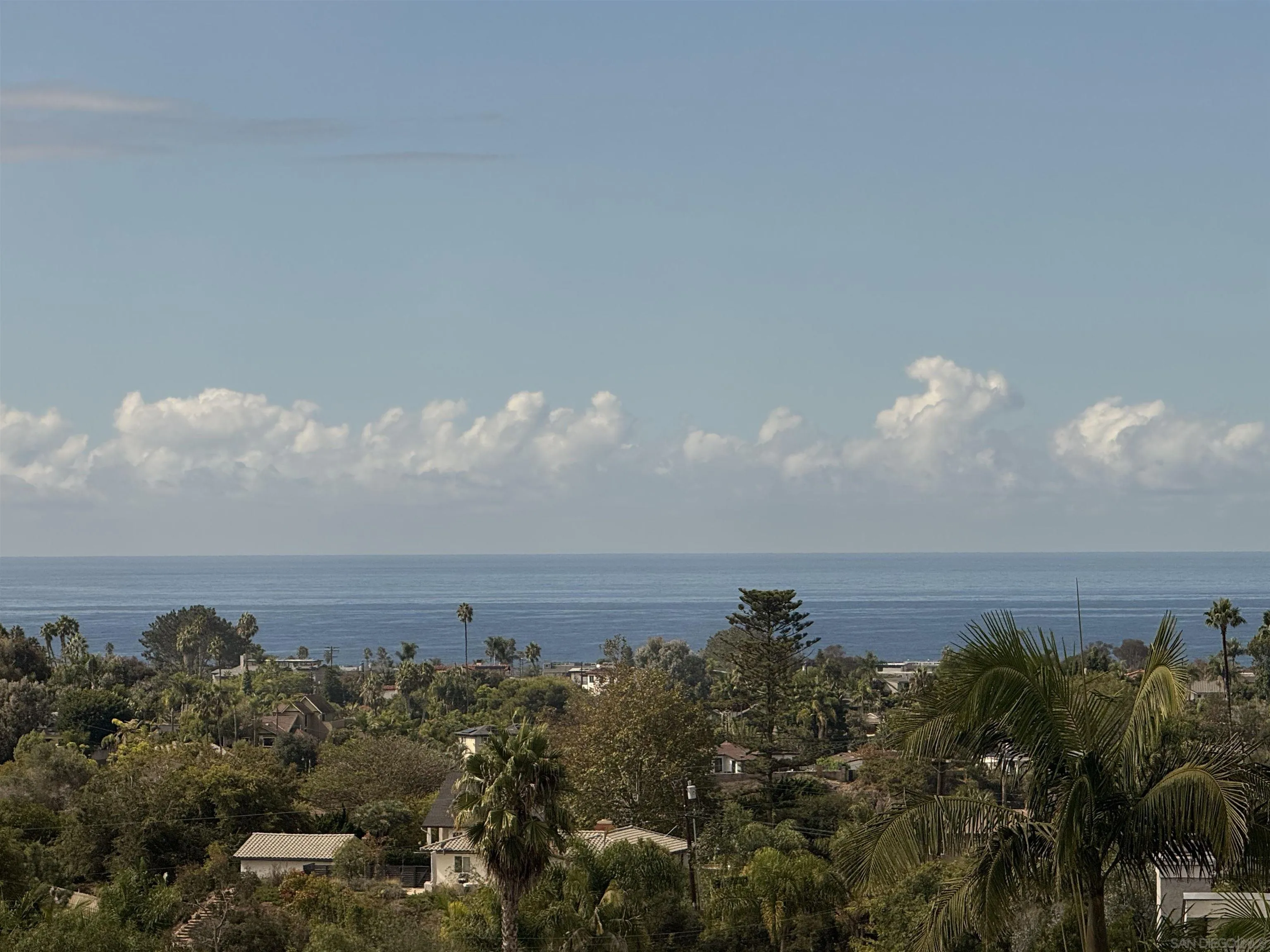 1711 Burgundy Road Encinitas, CA 92024 - Photo 46 of 49 a view of a building in the middle of a lake