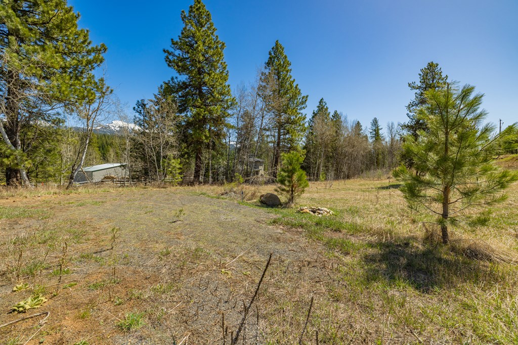 Tbd Morell Road McCall, ID 83638 - Photo 5 of 22