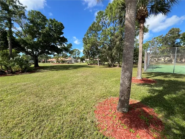 a view of a yard with a tree