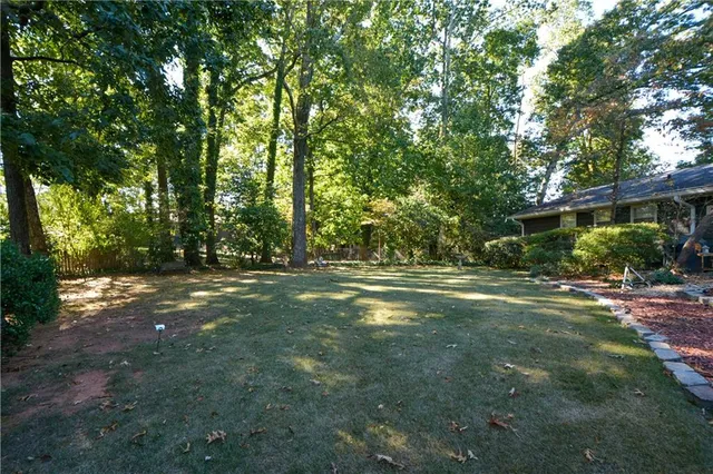 a view of a trees with a yard
