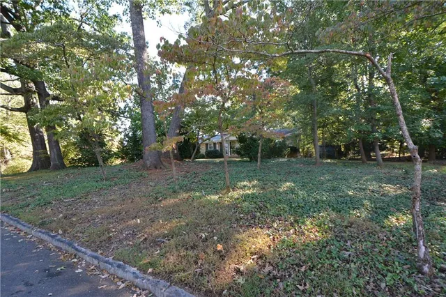 a view of a tree in a yard