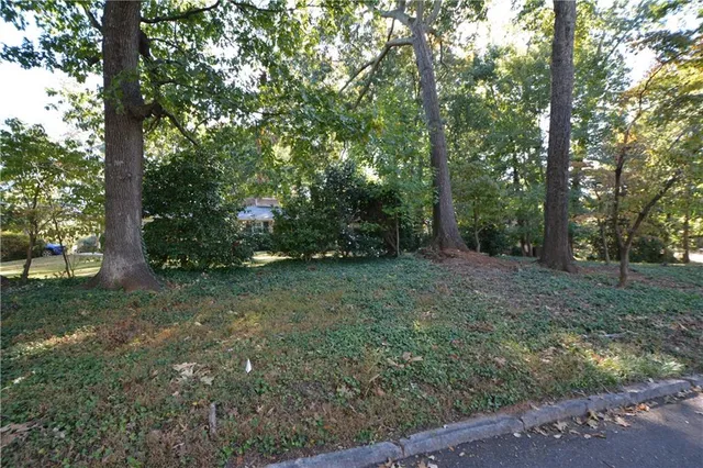 a view of a forest with trees in the background