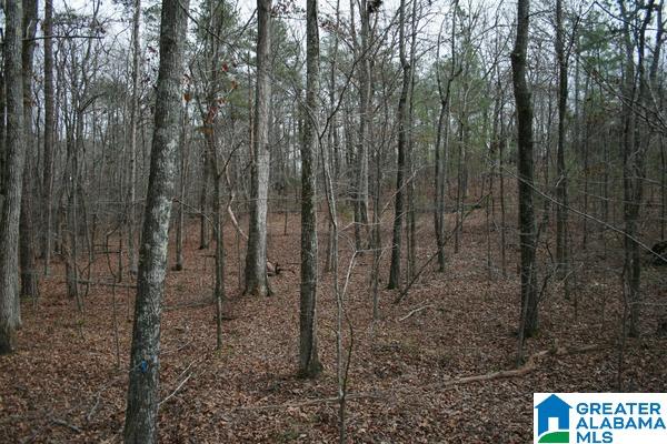 Rushing Springs Road, Unit 52± ACRES Lincoln, AL 35096 - Photo 14 of 15 Gallery Image 14