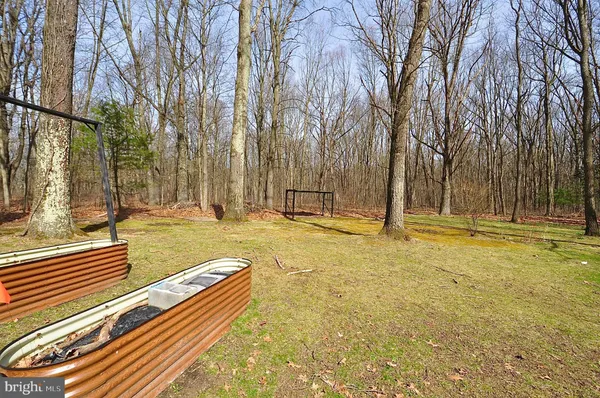 a view of yard with large trees
