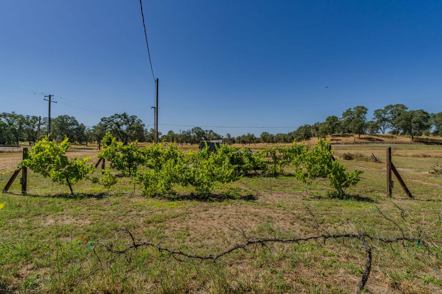 5726 Pettinger Road Valley Springs, CA 95252 - Photo 46 of 77