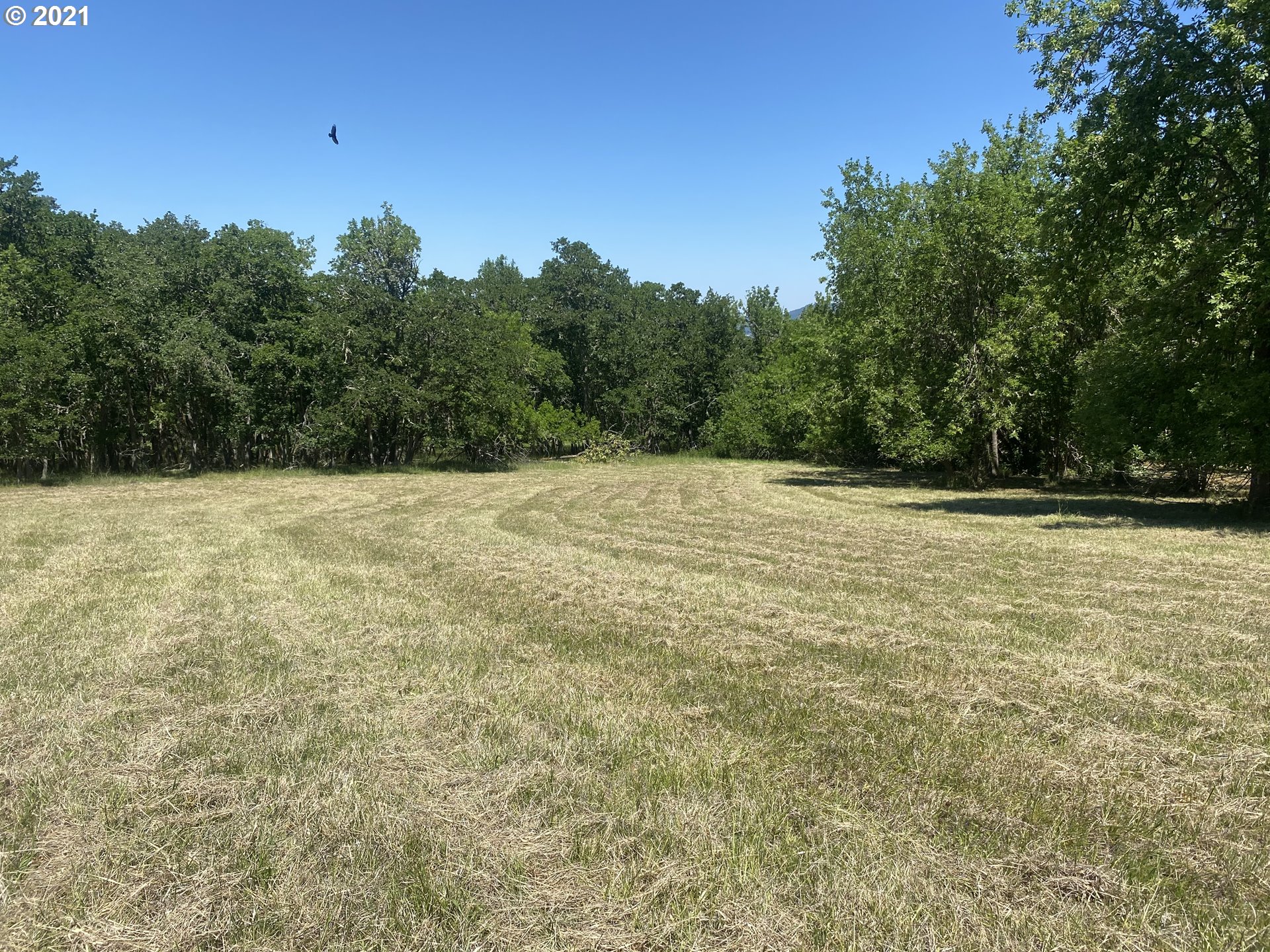 2101 Lookingglass Road Roseburg, OR 97471 - Photo 1 of 18 Gallery Image 1