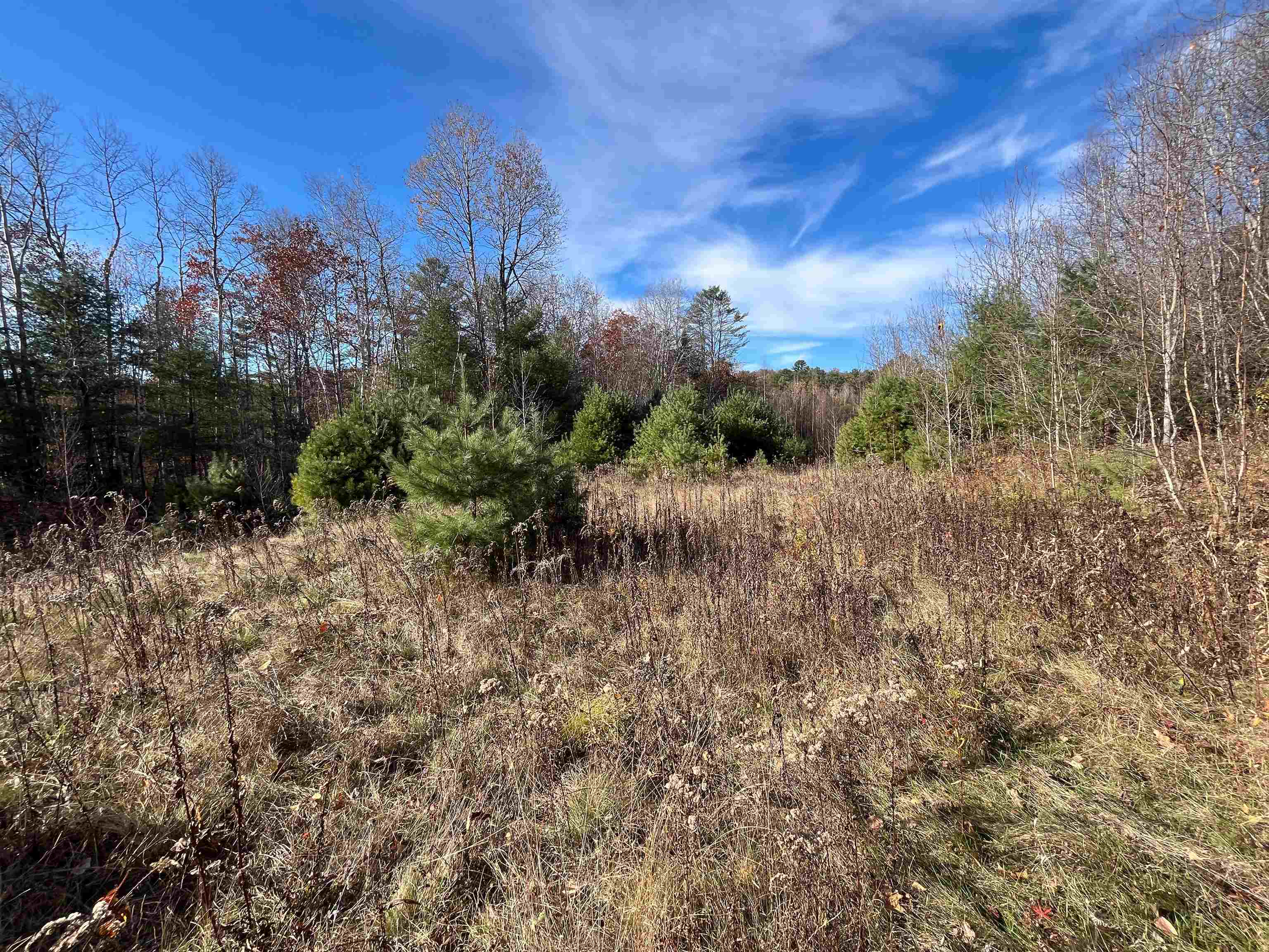 0 Catterall Road Lisbon, NH 03585 - Photo 29 of 45