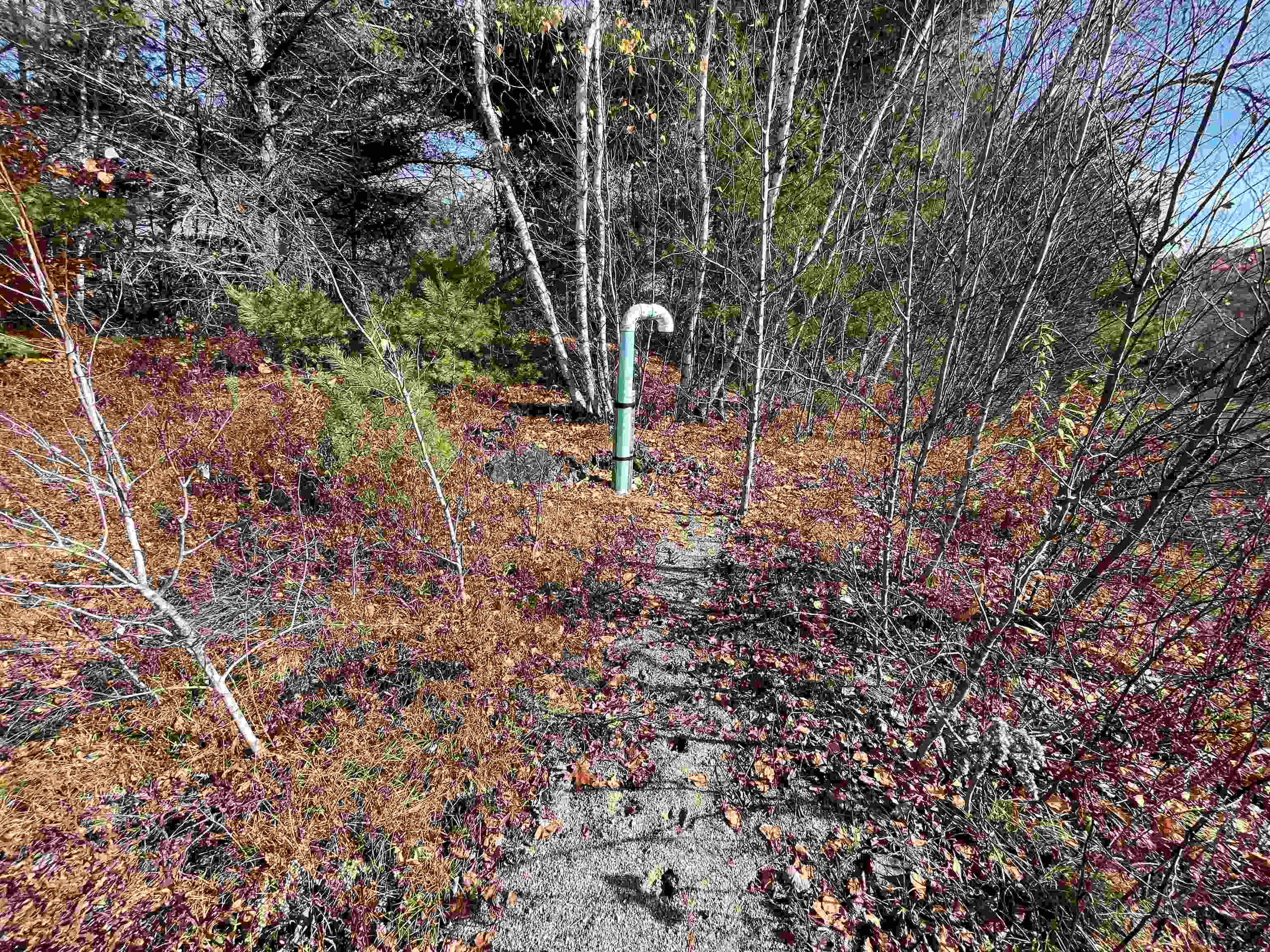 0 Catterall Road Lisbon, NH 03585 - Photo 36 of 45