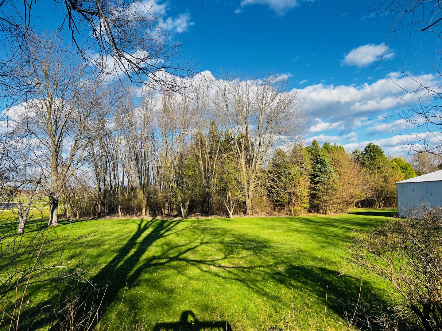9204 Haligus Road Huntley, IL 60142 - Photo 2 of 9 a view of a yard with large trees