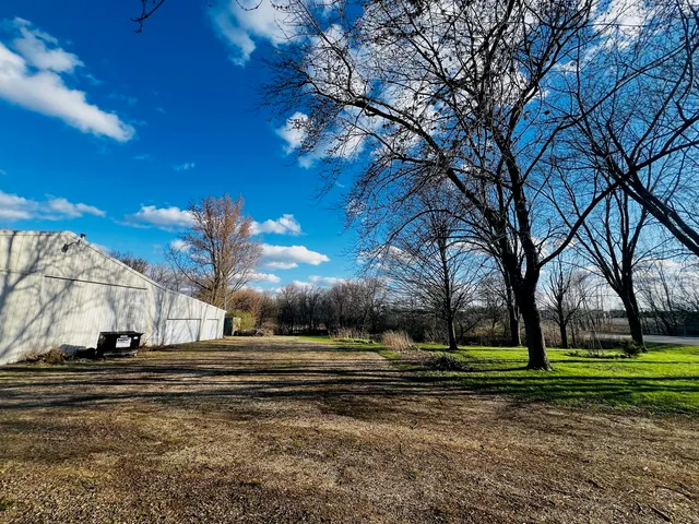 a view of a yard with an tree