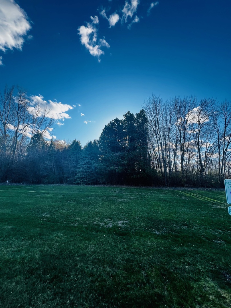9204 Haligus Road Huntley, IL 60142 - Photo 8 of 9 a view of a yard with an tree