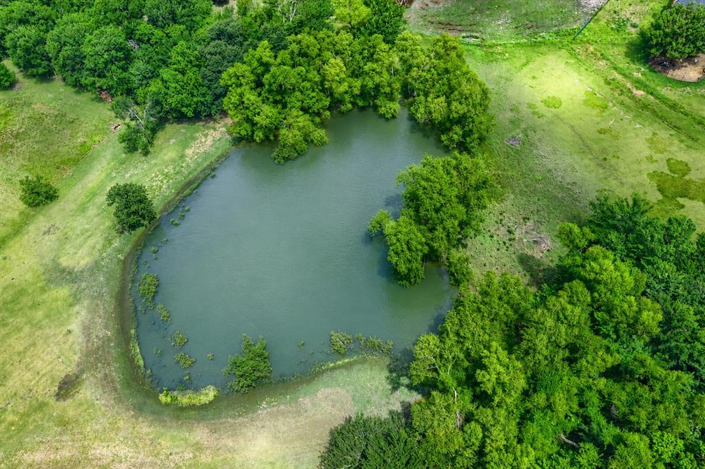 900 Hodgins Road Van Alstyne, TX 75495 - Photo 5 of 10 Private pond surrounded by mature trees and natural landscaping