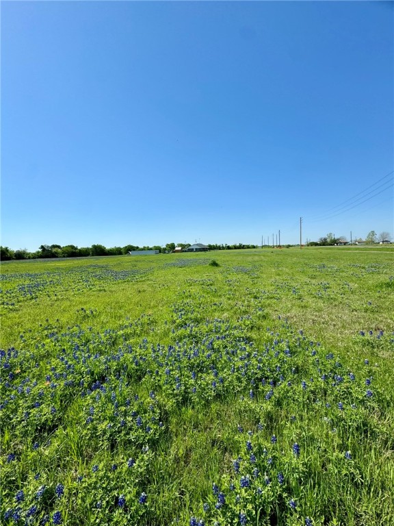 308 Rd Penelope Tx 76676 Road Penelope, TX 76676 - Photo 5 of 13