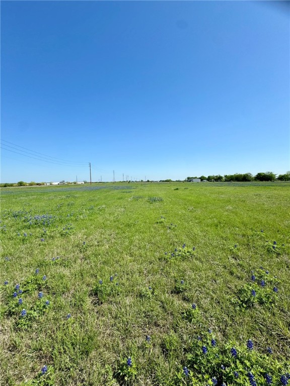 308 Rd Penelope Tx 76676 Road Penelope, TX 76676 - Photo 6 of 13