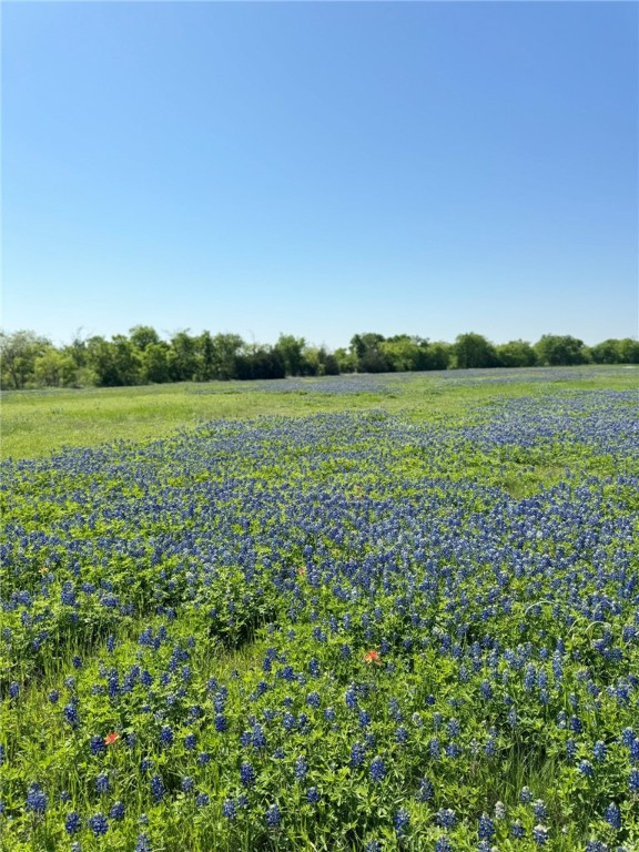 308 Rd Penelope Tx 76676 Road Penelope, TX 76676 - Photo 7 of 13