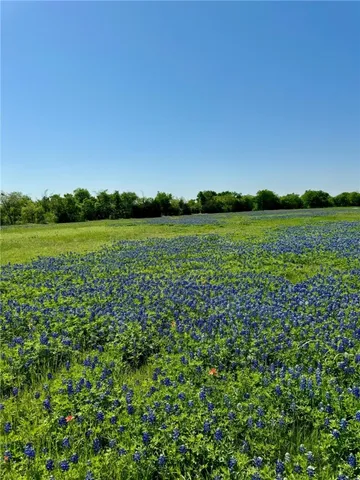 $100,000 | 308 Rd Penelope Tx 76676 Road, Penelope, TX 76676