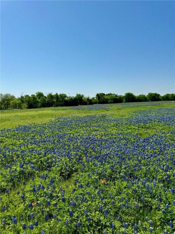 308 Rd Penelope Tx 76676 Road Penelope, TX 76676 - Photo 8 of 13