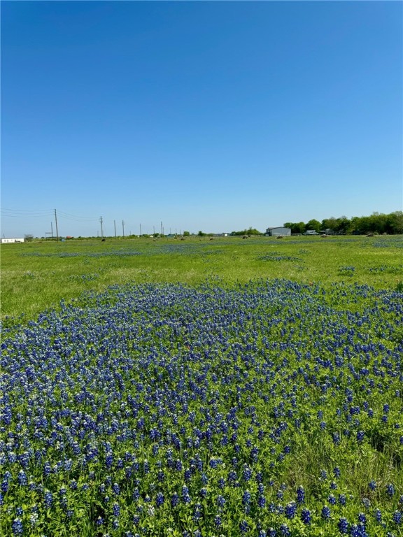 308 Rd Penelope Tx 76676 Road Penelope, TX 76676 - Photo 10 of 13
